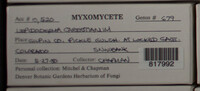 Image Associated With the Occurence